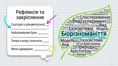 09025979-cd95-392x221.png
