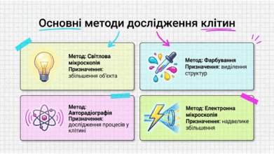 0902598g-23a0-391x220.png