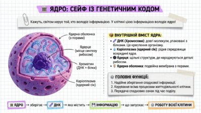 090259b2-63da-397x224.png