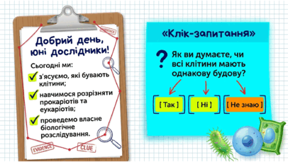 090259cb-d9f5-406x229.png