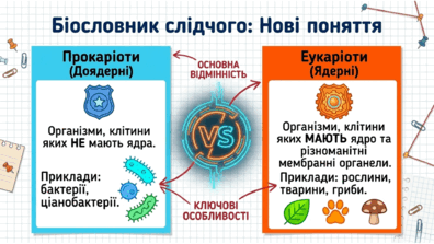090259ch-67e5-396x223.png