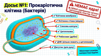 090259cj-6598-401x225.png