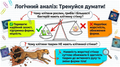 090259cr-b9b7-404x227.png