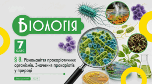 Різноманіття прокаріотичних організмів. Значення прокаріотів у природі. Презентація, інфографіка, робочий аркуш