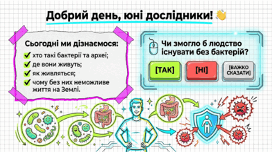 090259e2-c175-392x220.png