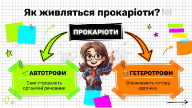 090259eg-8d08-395x223.png