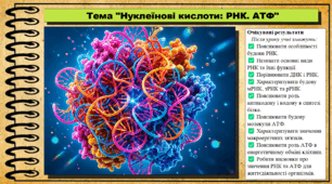 Нуклеїнові кислоти: РНК. АТФ. Біологія. 9 клас НУШ (2026). До підручника Балан П., Козленко О. та ін.