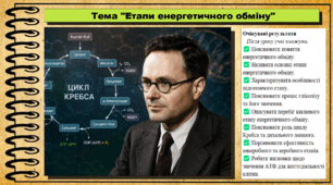 Етапи енергетичного обміну. Біологія. 9 клас НУШ (2026). До підручника Балан П., Козленко О. та ін.