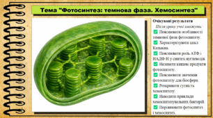 Фотосинтез: темнова фаза. Хемосинтез. Біологія. 9 клас НУШ (2026). До підручника Балан П., Козленко О. та ін.