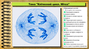 Клітинний цикл. Мітоз. Біологія. 9 клас НУШ (2026). До підручника Балан П., Козленко О. та ін.