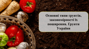 Основні типи ґрунтів, закономірності їх поширення. Ґрунти України