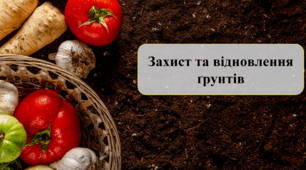 Захист та відновлення ґрунтів