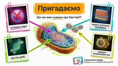 09025cqj-fc62-395x222.png