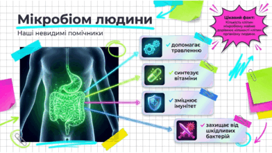 09025cqs-ded4-392x221.png