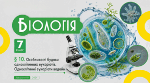 Особливості будови одноклітинних еукаріотів. Одноклітинні еукаріоти водойм. Презентація, інфографіка, робочий аркуш