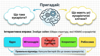 09025csa-cf87-381x215.png
