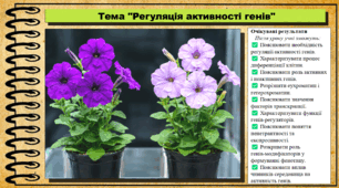 Регуляція активності генів. Біологія. 9 клас НУШ (2026). До підручника Балан П., Козленко О. та ін.