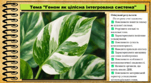 Геном як цілісна інтегрована система. Біологія. 9 клас НУШ (2026). До підручника Балан П., Козленко О. та ін.