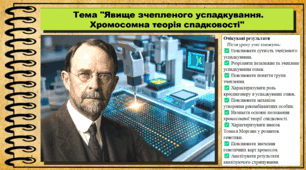 Явище зчепленого успадкування. Хромосомна теорія спадковості. Біологія. 9 клас НУШ (2026). До підручника Балан П., Козленко О. та ін.