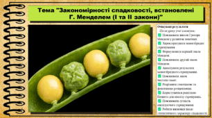 Закономірності спадковості, встановлені Г. Менделем (I та II закони). Біологія. 9 клас НУШ (2026). До підручника Балан П., Козленко О. та ін.