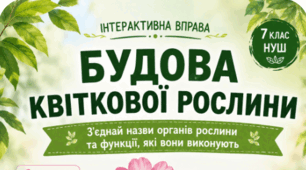 З'єднувальник. Органи квіткової рослини