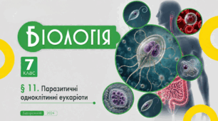 Паразитичні одноклітинні еукаріоти. Презентація, інфографіка, робочий аркуш