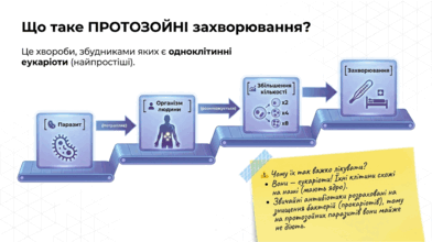 09025ed0-24c3-392x220.png