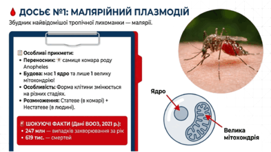 09025ed1-f4a7-393x221.png