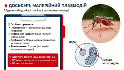 09025ed1-f4a7-414x233.png
