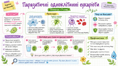 09025ed4-1d90-388x218.png
