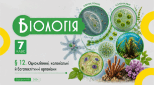 Одноклітинні, колоніальні й багатоклітинні організми. Презентація, інфографіка, робочий аркуш