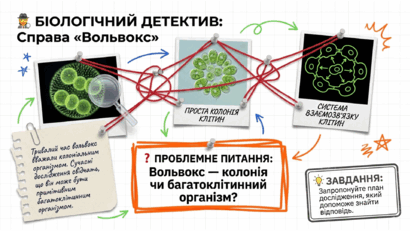 09025edm-2b5c-410x231.png