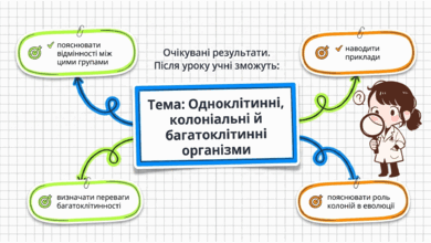 09025eds-d0e8-390x220.png