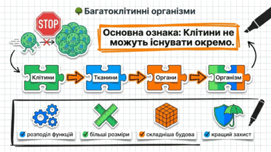 09025ee1-e16a-391x220.png