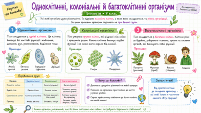 09025eef-8695-393x221.png