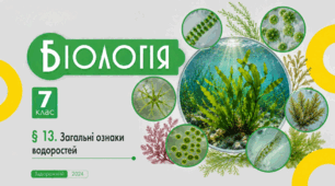 Загальні ознаки водоростей. Презентація, інфографіка, робочий аркуш