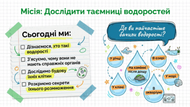 09025ef4-3b54-389x219.png