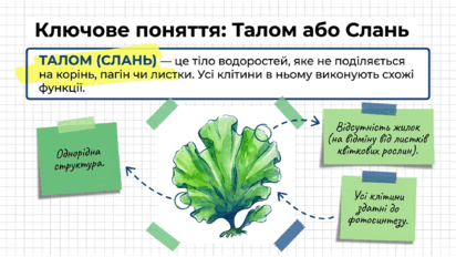 09025ef8-55a9-412x232.png