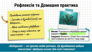 09025efc-a706-394x222.png