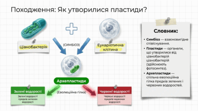 09025efr-eefd-391x220.png