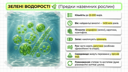 09025efy-2a8e-412x232.png