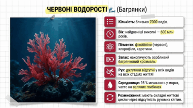 09025eg1-4a72-381x214.png