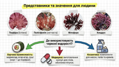 09025eg4-f8cd-409x230.png