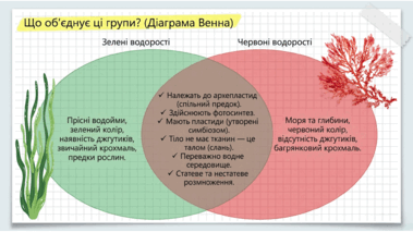 09025eg6-708f-379x213.png