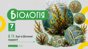 Бурі та Діатомові водорості. Презентація, інфографіка, робочий аркуш