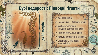 09025eqy-f84a-408x230.png