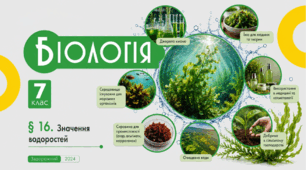 Значення водоростей. Презентація, інфографіка, робочий аркуш