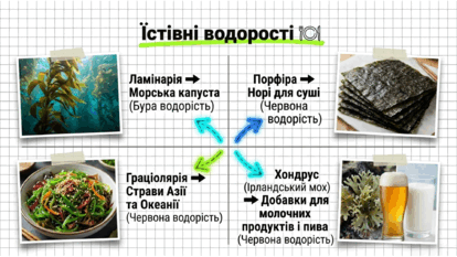 09025esf-ef36-414x233.png