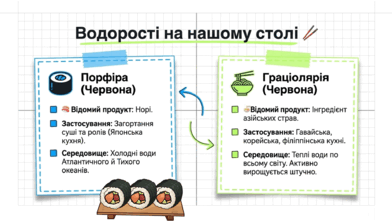 09025euj-8945-392x221.png