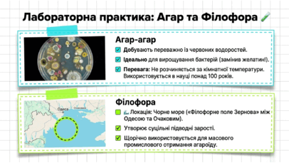 09025euk-66f9-406x229.png